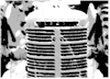 Classic Car and Tractor Show at Zutphen Church